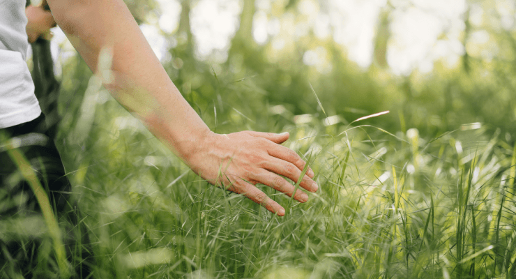 Touching Grass Revisited