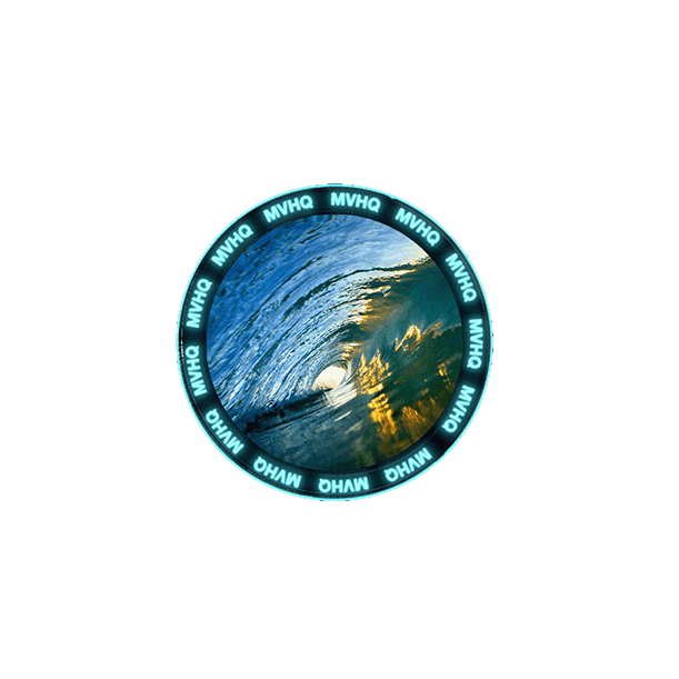 metaverse team member UnderwaterLlama
